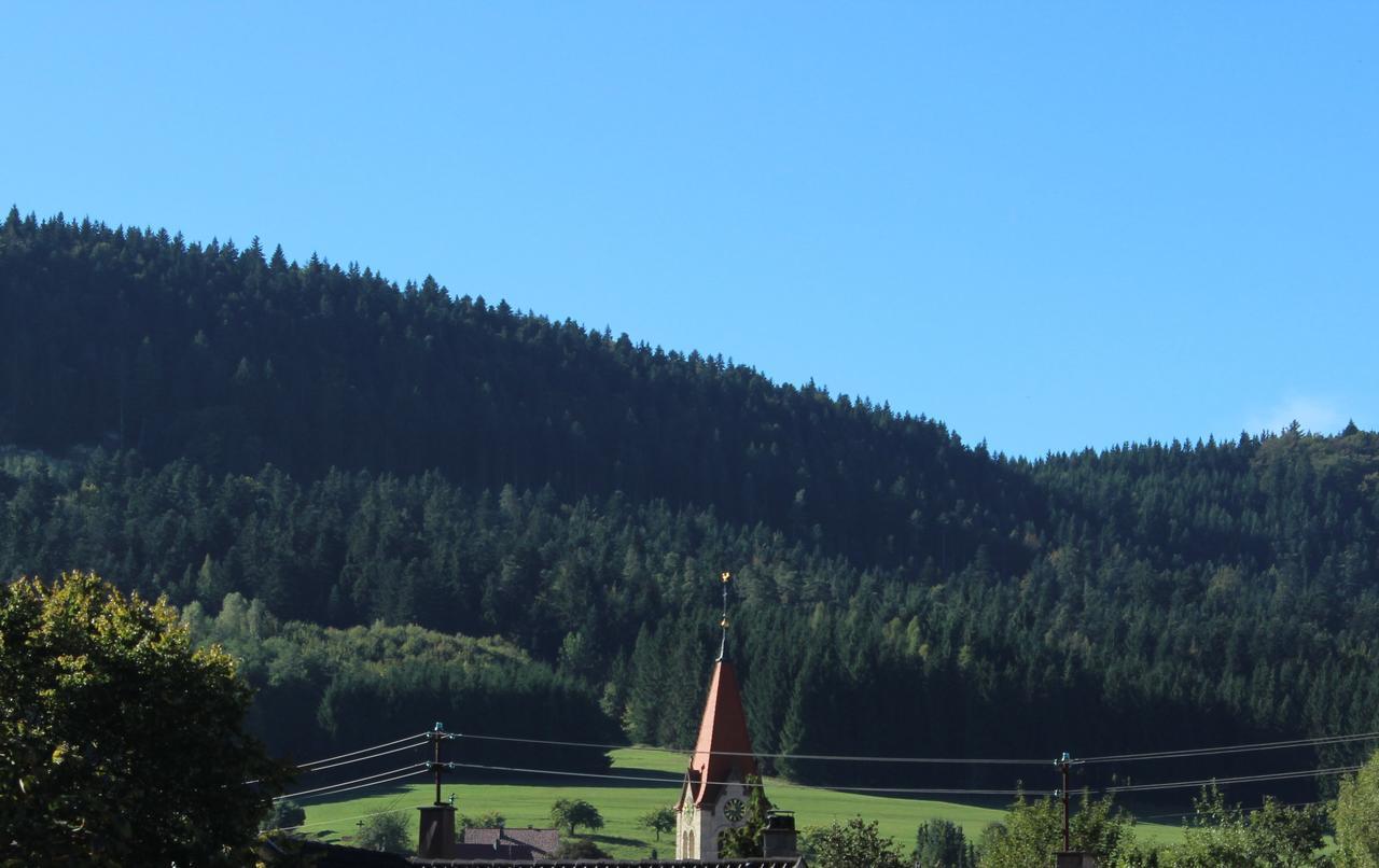 Hotel Heuberger Hof, Wehingen Экстерьер фото